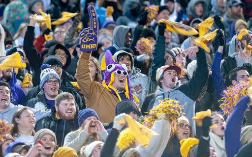 jubelnde Fans im Stadion