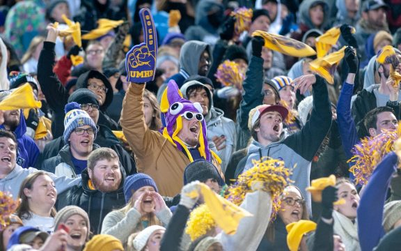 jubelnde Fans im Stadion